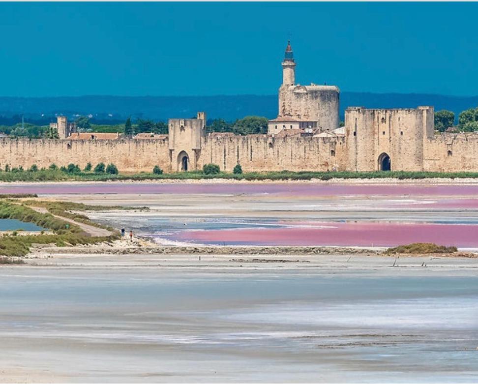 La Maison Du Trident En Camargue Piscine Et Jacuzzi Ferienhaus Vauvert